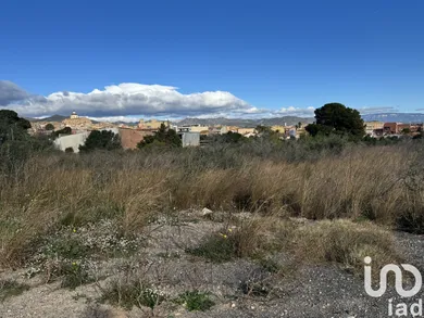 Terreny a Mont-Roig del Camp