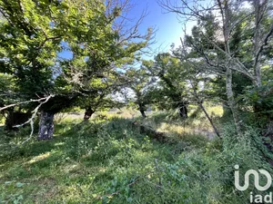 Land in Fuenteheridos