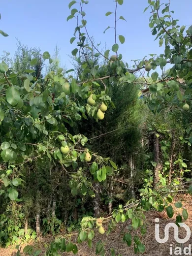 Land in Galaroza