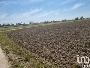 Terreny a Sant Jaume d'Enveja
