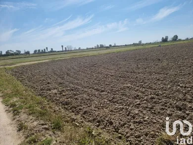 Terreny a Sant Jaume d'Enveja