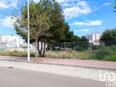Terreny a Oropesa/Oropesa del Mar