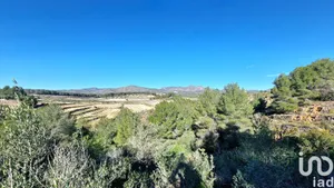 Terreny a La Bisbal del Penedès