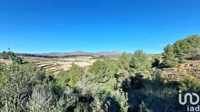 Terreny a La Bisbal del Penedès