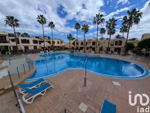 Estudi a Costa del Silencio