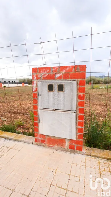 Terreny a Sant Mateu