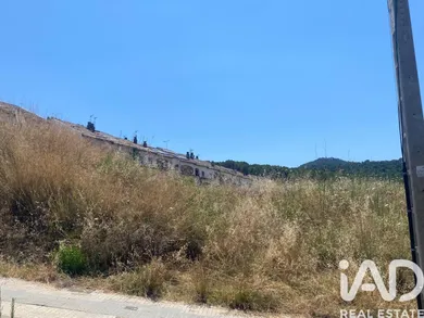 Terreny a Sant Iscle de Vallalta