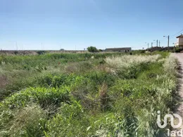 Terreno en Movera