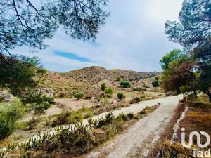 Land in Xixona