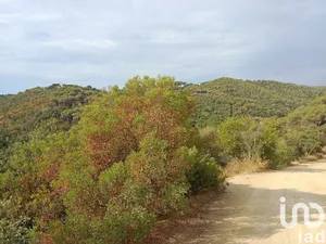 Terreny a Sant Cebrià de Vallalta