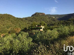 Terreno agricola en Alforja