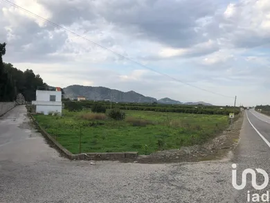 Terreny a Oliva
