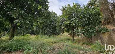 Terreno agricola en Illar