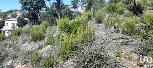 Terreny a Lloret de Mar