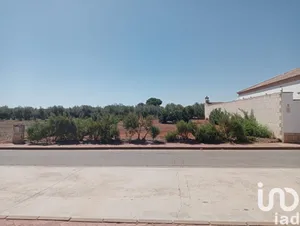 Terreny a Cañada Rosal