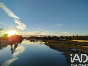 Terreny a San Román de los Montes