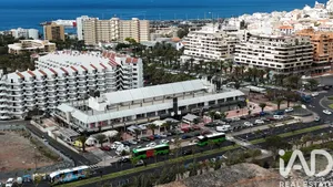 Shop/Premises commercial in Playa de Los Cristianos