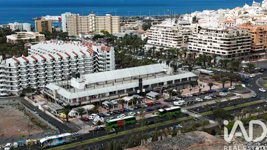 Shop/Premises commercial in Playa de Los Cristianos