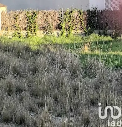 Terreno en Segur de Calafell