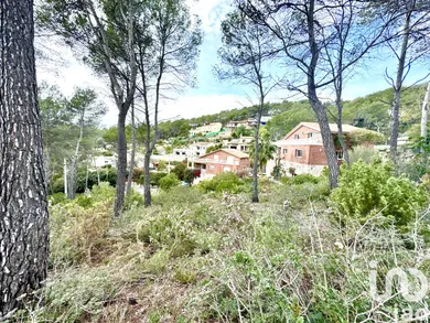 Terreny a Olivella