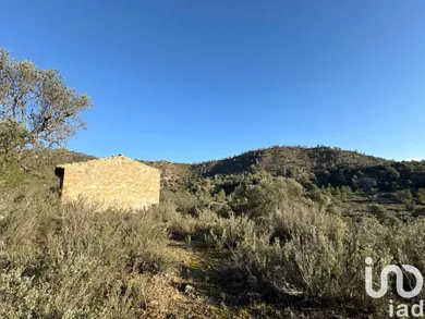 Farm land in Flix