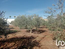 Terreno en Cañada Rosal