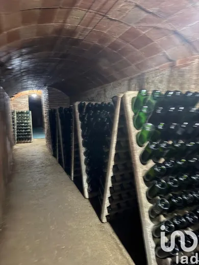 Gourmet restaurant in El Masnou