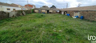 Terreny urbá a Vecinos