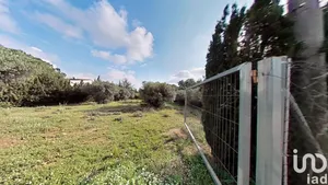 Terreny a Castellvell del Camp