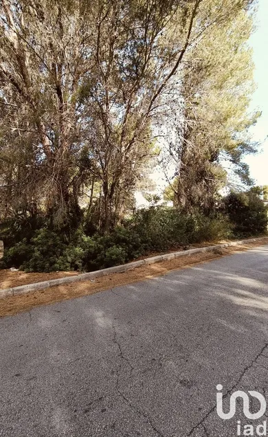 Terreny a L'Ametlla de Mar