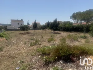 Terreny a Santa Oliva