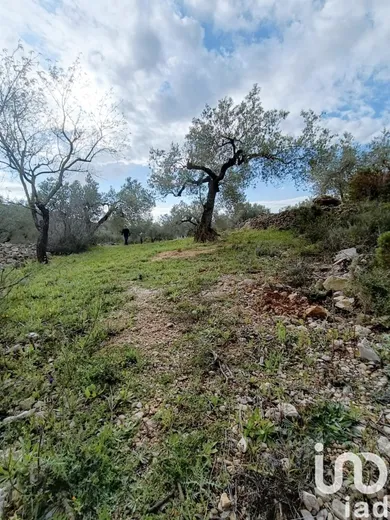 Terreny a El Perelló