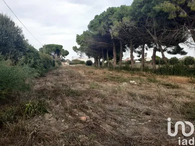 Terreny a Cambrils