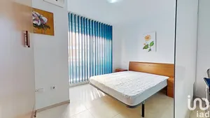 Estudio en Benicarló