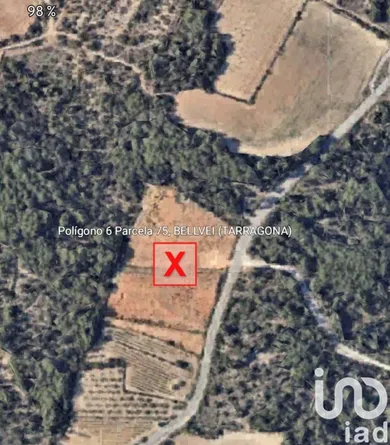 Terreny a Bellvei