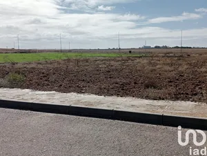 Terreny a Cañada Rosal