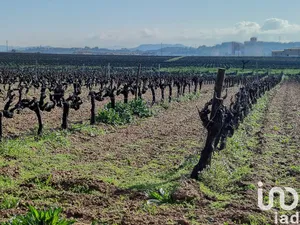 Terreny a Santa Margarida i els Monjos