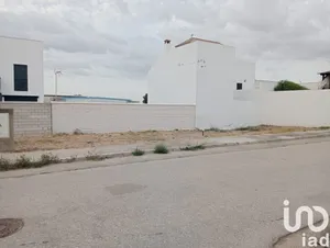 Terreny a Villanueva del Rey