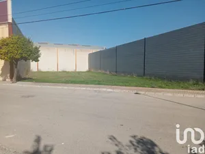 Terreny a Cañada Rosal