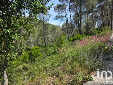 Land in Olesa de Bonesvalls