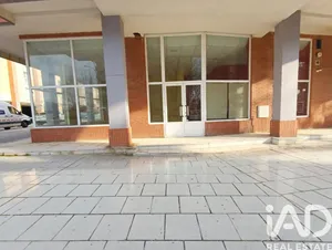 Local comercial en León