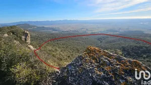 Terreny a Figuerola del Camp