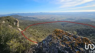 Terreny a Figuerola del Camp