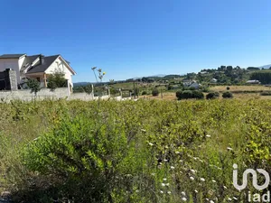 Terreny a Cabañas Raras