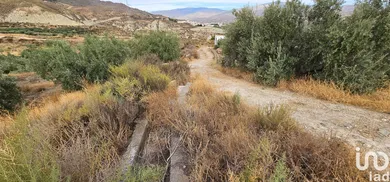 Terreno agricola en Illar