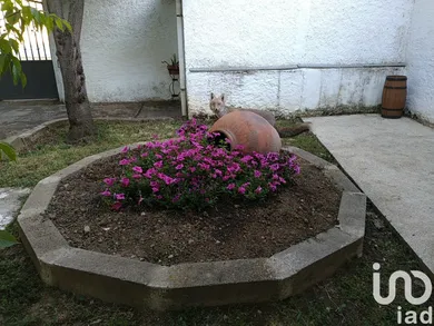 Casa en Alba de Yeltes
