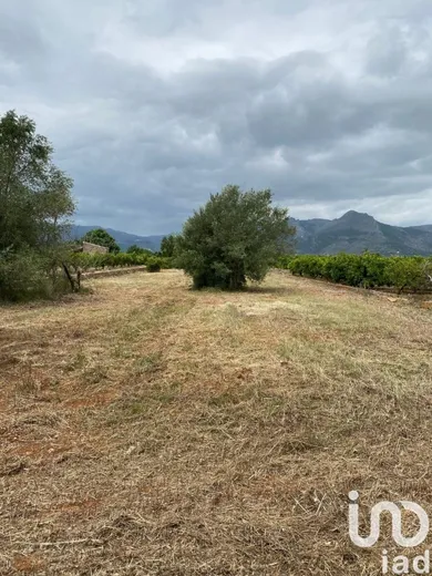 Terrain à Benidoleig