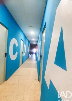 Trastero en Oropesa/Oropesa del Mar