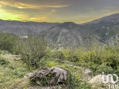 Terreno en La Vall de Laguar