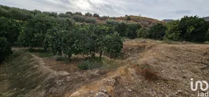 Terreno agricola en Illar